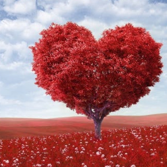 Meet your Posher, Barbara - Picture 1 of 1